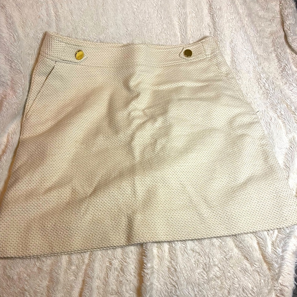 Ann Taylor pencil skirt